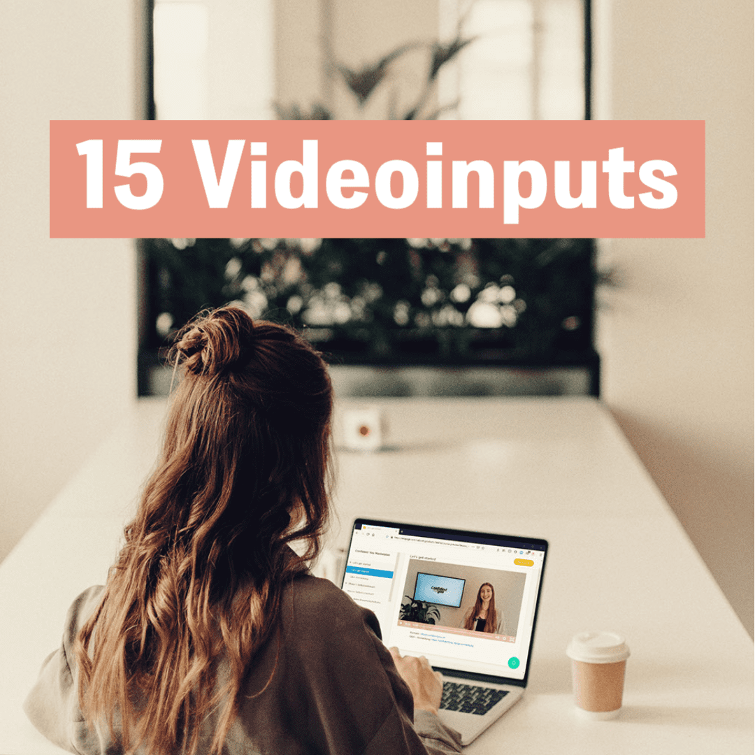 15 Videoinputs